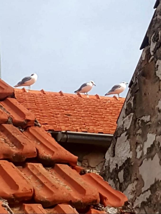 Hvar Heart Heritage Apartment สตารีกราด ภายนอก รูปภาพ